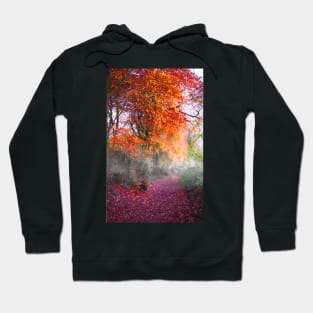 Cotswolds Way woodland Hoodie